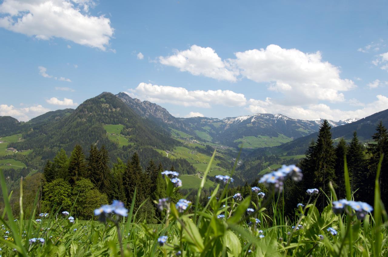 Bergchalet Rauchenhof 里斯奥尔巴赫塔 外观 照片